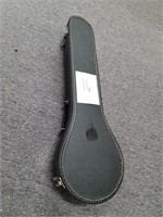 Case for mandolin