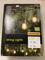 Portfolio landscape string lights