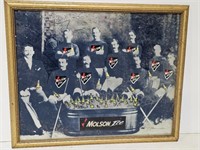MOLSON Hockey Picture