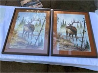 Pair Large Elk Prints - Framed