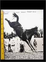 PICTURE - APART - WORLD CHAMPION BAREBACK HORSE