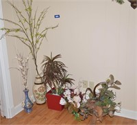 Decorative Plants and Vases