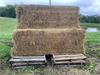 3 - 3'x3'x8' Big Square Bales of 3rd Crop Alfalfa