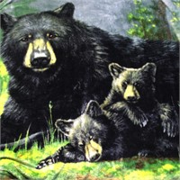 Mother Bear & Bear Cubs by James Huntman Blanket