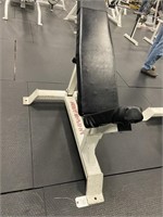 Body Master weight Bench