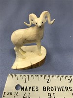 2 1/2" core ivory carving of a Dahl sheep mounted