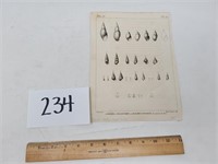 1815 copper plate engraving of French shells