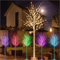 Outdoor Colorful Lighted Birch Tree