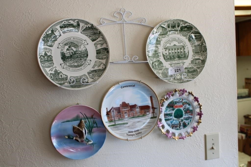 Collector plate collection