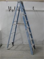8' Werner Ladder