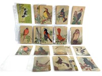 Conservative Life Ins. Co. Trade Cards, N.A. Birds