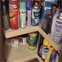 Cabinet of Cleaning Supplies