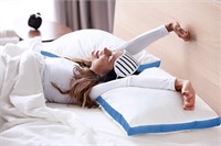 $46 Queen Bed Pillows Set of 2