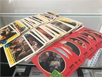 1990 Ninja Turtle TMNT Movie Cards QTY 137