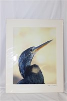 A Signed Bird Photograph