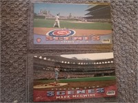 SOSA AND MCGWIRE WIDE SCREEN CARDS (TALLBOY SIZE)