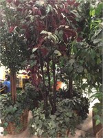 Row of faux plants. 2 trees approx 7ft with