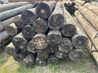 8ft x 7in Wood Posts