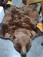 Grizzly bear head- skin rug