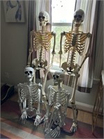 4 skeletons