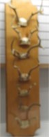 48" WOODEN PLAQUE W/1-7 POINT MOUNTS VERY NICE