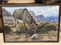 Framed desert burro poster print.
