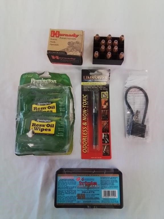 Hornady ammo, Remington oil pads, oil pen, lock