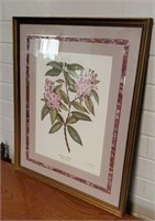 Mountain Laurel print approx 17 x 21 inches