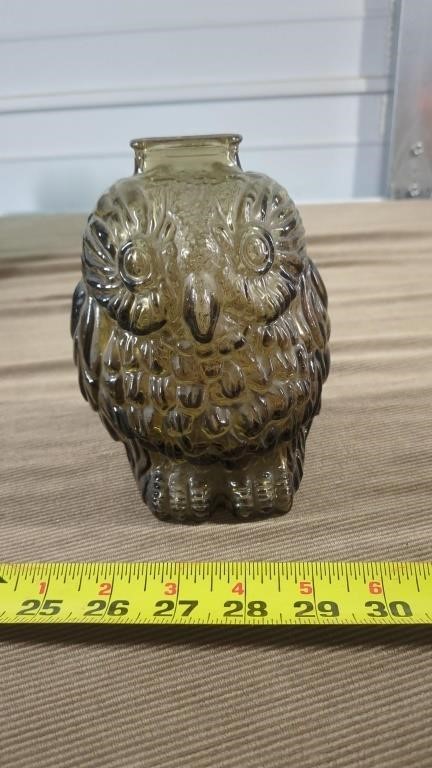 WISE OLD OWL GLASS BANK