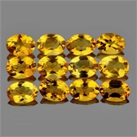 Natural Golden Yellow Citrine 12 Pcs {Flawless-VVS