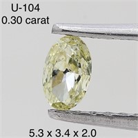 $450  Rare Fancy Natural Color Diamond(0.3ct)