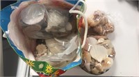 Bag of miscellaneous seashells