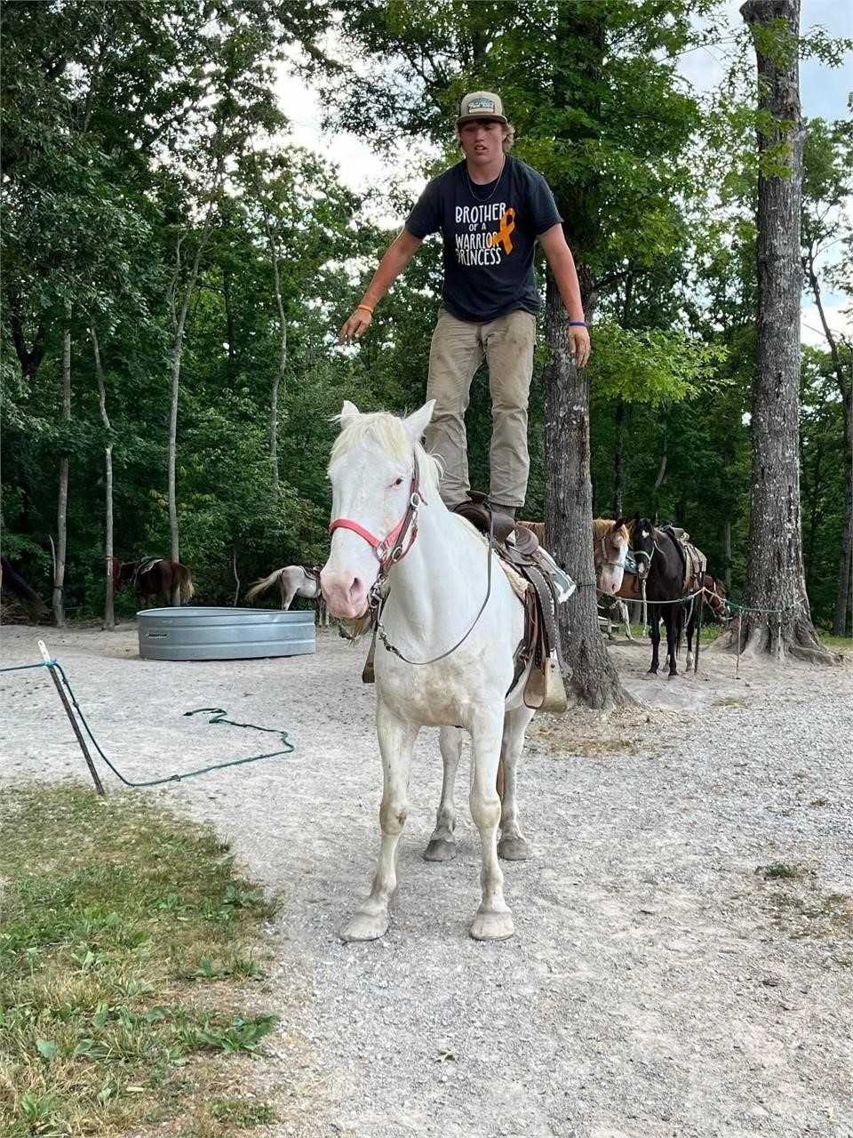 American Made Livestock Market RIDING HORSE SPECIAL