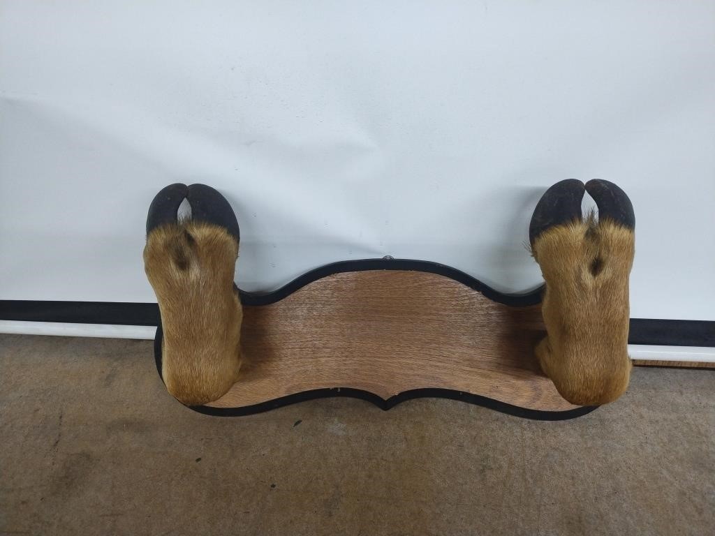 CARIBOU HOOF GUN RACK / WALL PLAQUE