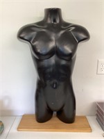 Male Torso Display Mounted on Wood Stand