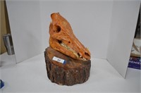 Boar Skull on Wood Base w.Carved Barb Wire & Texas