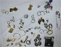 Assorted Earrings/Pins/Necklace