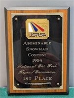 Vintage Aspen Ski Award
