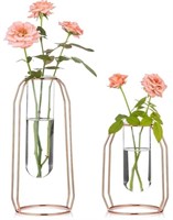 ases Set of 2 Glass Vases with Metal Frame,