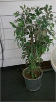 fake potted plant