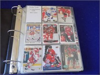 Binder Hockey Cards-No Base/Common-Some Rookies