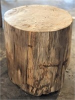 Polished Petrified Wood Stump (Aprox 300lbs)