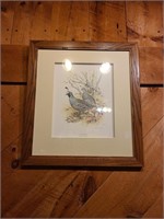 Ned Smith valley quails print framed