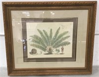 Gilt Framed Print On Paper "palms"