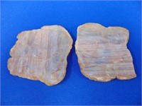 Natural Minerals Petrified Wood Slices / Specimens