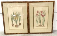 (2)pc. Botanical Lithograph On Paper