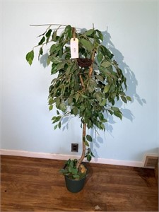 5' FAUX POTTED TREE