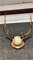 3X4 ELK RACK ON PLAQUE