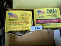 Stormguard Nails Galvanized