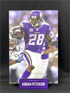 12x19.5 in. Adrian Peterson #28